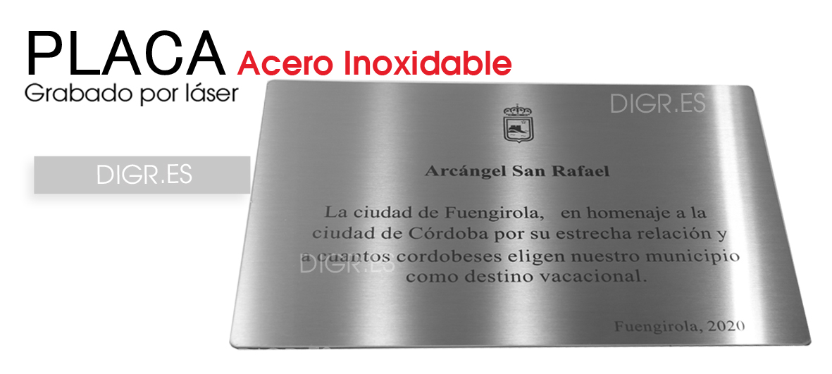 Placa de metal grabada de 5 x 3 pulgadas, placa personalizada para  reconocimiento personalizado o conmemoración, grabado personalizado  incluido